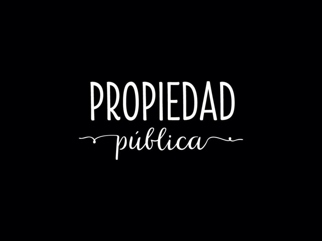 Propiedad Pública